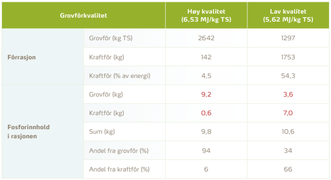TABELL 1: Okser som f&ocirc;res frem til 300 kg slaktevekt i l&oslash;pet av 16 m&aring;neder,  med henholdsvis h&oslash;y og lav kvalitet p&aring; grovf&ocirc;ret.