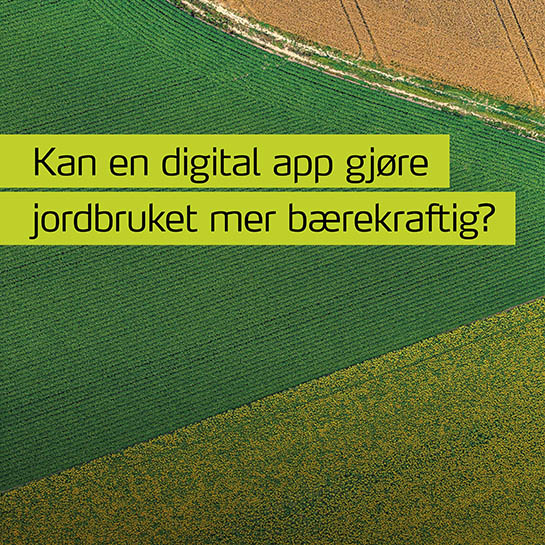 Illustrasjon digital app