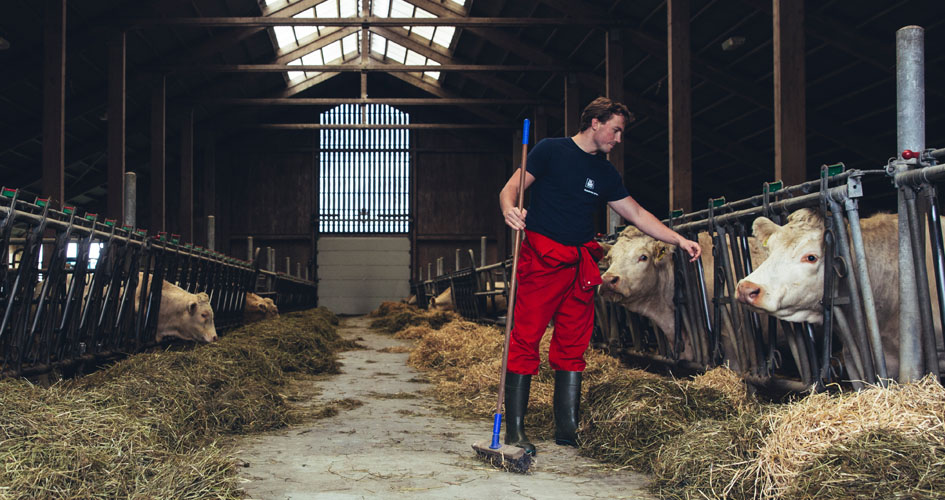 Isak St&oslash;re jobber p&aring; familieg&aring;rd