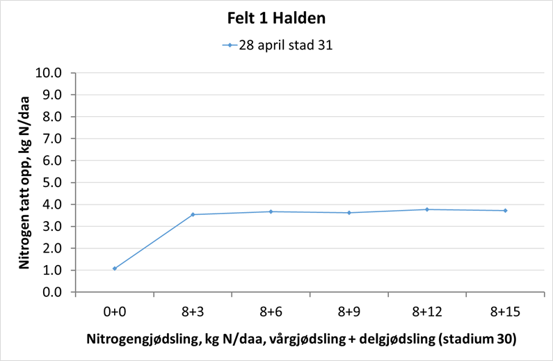 halden figur