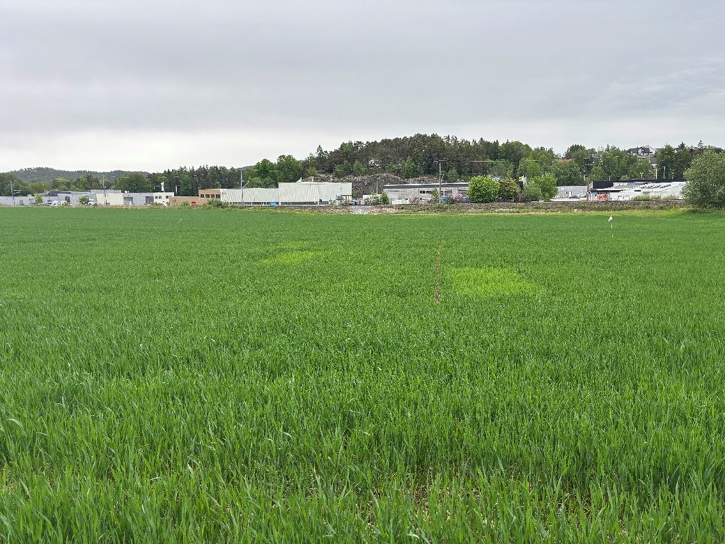 &oslash;stfold